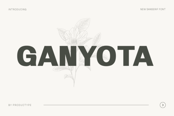 Ganyota: A Modern Sans Serif Font for Editorial Design