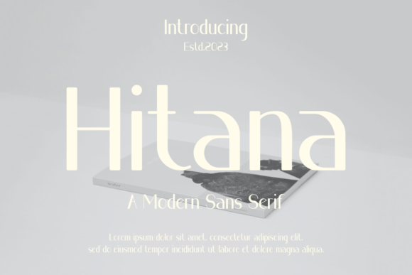 Hitana: A Bold Sans Serif Typeface for Modern Editors