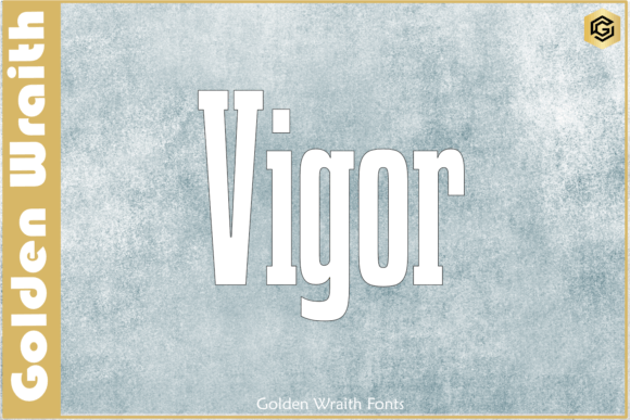 Vigor: Bold Sans Serif Font for Makers
